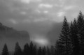 Trees in snow and mist (#2, black and white, horizontal), Yosemite National Park, California, United States