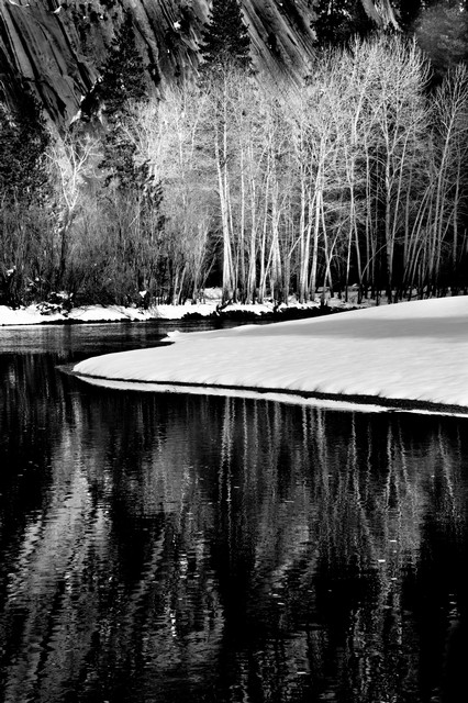 Snowy trees reflected in Merced River, Yosemite National Park, California
