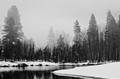 Merced River and trees in mist, Yosemite National Park, California