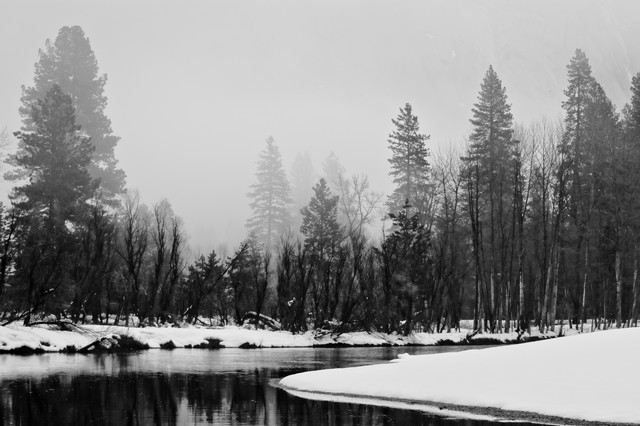 Merced River and trees in mist, Yosemite National Park, California