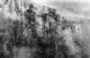 Clouds veil the face of El Capitan, Yosemite National Park, California