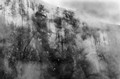 Clouds veil the face of El Capitan, Yosemite National Park, California