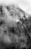 Clouds veil the face of El Capitan, Yosemite National Park, California