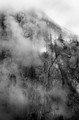 Clouds veil the face of El Capitan, Yosemite National Park, California