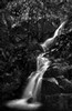 Wildcat Creek Falls (#2, black and white), Yosemite National Park, California