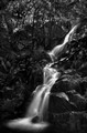 Wildcat Creek Falls (#2, black and white), Yosemite National Park, California
