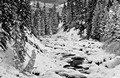 Stream in winter, Lamar Valley, Yellowstone National Park, Wyoming
