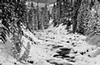 Stream in winter, Lamar Valley, Yellowstone National Park, Wyoming