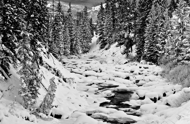 Stream in winter, Lamar Valley, Yellowstone National Park, Wyoming