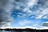 Blue skies and white clouds over trees, Yellowstone National Park, Wyoming