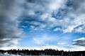 Blue skies and white clouds over trees, Yellowstone National Park, Wyoming