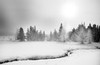 Trees and creek in snow, (#1, black and white, horizontal), Yellowstone National Park, Wyoming