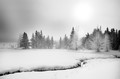 Trees and creek in snow, (#1, black and white, horizontal), Yellowstone National Park, Wyoming