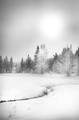 Trees and creek in snow, (#2, black and white, vertical), Yellowstone National Park, Wyoming