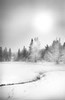 Trees and creek in snow, (#2, black and white, vertical), Yellowstone National Park, Wyoming