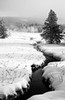 Trees and creek in snow, (#3, black and white, vertical), Yellowstone National Park, Wyoming