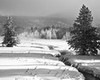 Trees and creek in snow, (#4, black and white, horizontal), Yellowstone National Park, Wyoming
