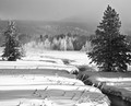 Trees and creek in snow, (#4, black and white, horizontal), Yellowstone National Park, Wyoming