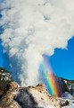 Castle Geyser and rainbow (color, #1), Yellowstone National Park, Wyoming