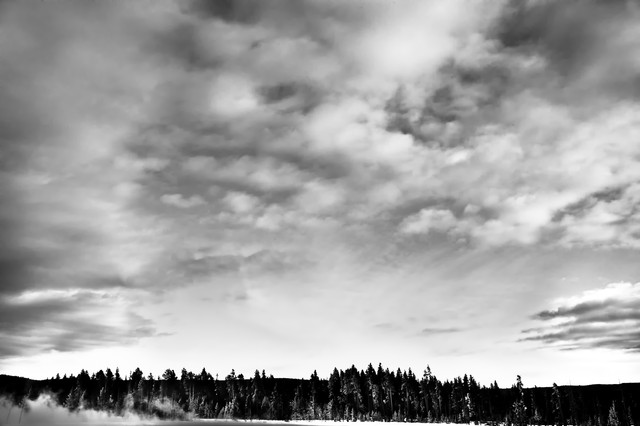 White clouds over tree line (black and white), Yellowstone National Park, Wyoming
