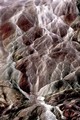 Mammoth Hot Springs in mist (#4), Yellowstone National Park, Wyoming