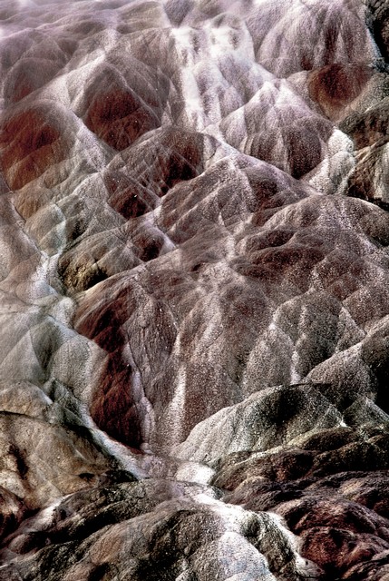 Mammoth Hot Springs in mist (#4), Yellowstone National Park, Wyoming