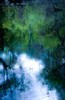 Dawn in the swamp (#3), Everglades National Park, Florida