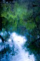 Dawn in the swamp (#3), Everglades National Park, Florida