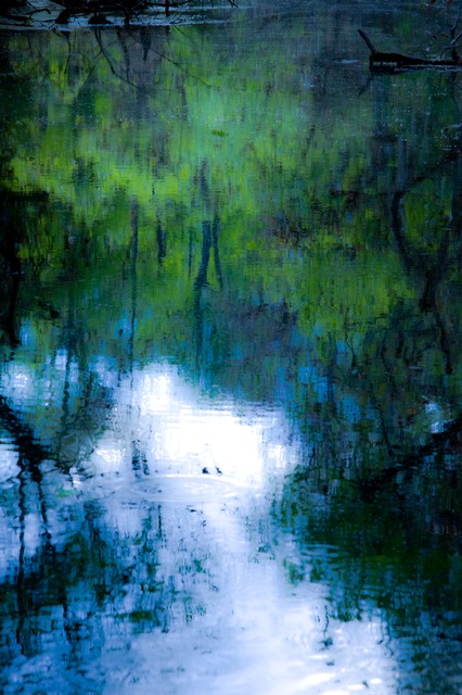 Dawn in the swamp (#3), Everglades National Park, Florida