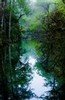 Dawn in the swamp (#5), Everglades National Park, Florida