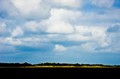View from the Anhinga Trail (#2, color), Everglades National Park, Florida