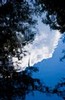 Tree and sky reflections (#2, color), Everglades National Park, Florida