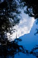 Tree and sky reflections (#2, color), Everglades National Park, Florida