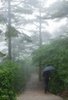 Man Climbs Steps in Fog, Huangshan Mountains, China (#1, color)