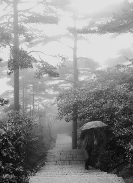 Man Climbs Steps in Fog, Huangshan Mountains, China (#2, black and white)