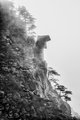 Outcroppings on Steep Slope, Huangshan Mountains,China