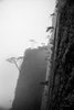 Trees Over Cliff, Huangshan Mountains, China, #2
