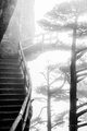 Winding Steps to Heaven, Huangshan Mountains, China