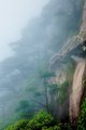 Cliff and Green Trees in Fog, Huangshan Mountains, China