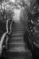 Crooked Steps Through Boulders and Trees, Huangshan Mountains, China