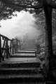 Steps Disappearing into Fog, Huangshan Mountains, China