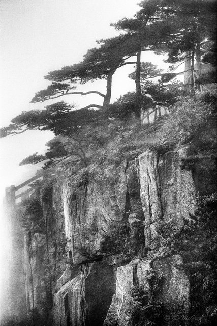 Granite, Trees and Fog, Huangshan Mountains, China