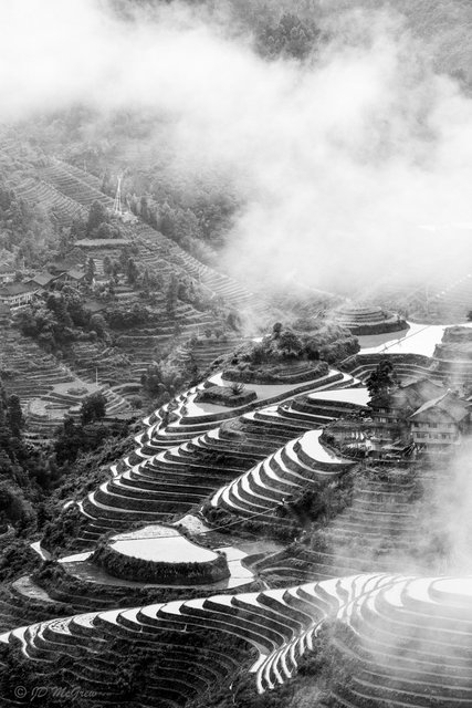 Rice Terraces at Longsheng (#1, black and white, vertical)