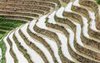 Rice Terraces at Longsheng (#2, color, horizontal)