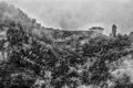 Rice Terraces at Longsheng (#3, black and white, horizontal)