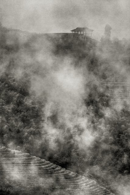 Rice Terraces at Longsheng (#4, black and white, vertical)