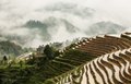 Rice Terraces at Longsheng (#5, Color, horizontal)