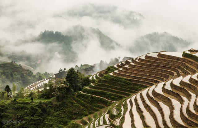 Rice Terraces at Longsheng (#5, Color, horizontal)