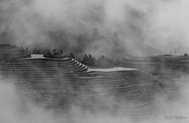 Rice Terraces at Longsheng (#7, black and white, horizontal)