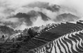 Rice Terraces at Longsheng (#6, black and white, horizontal)